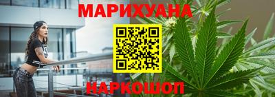 сатива Краснознаменск