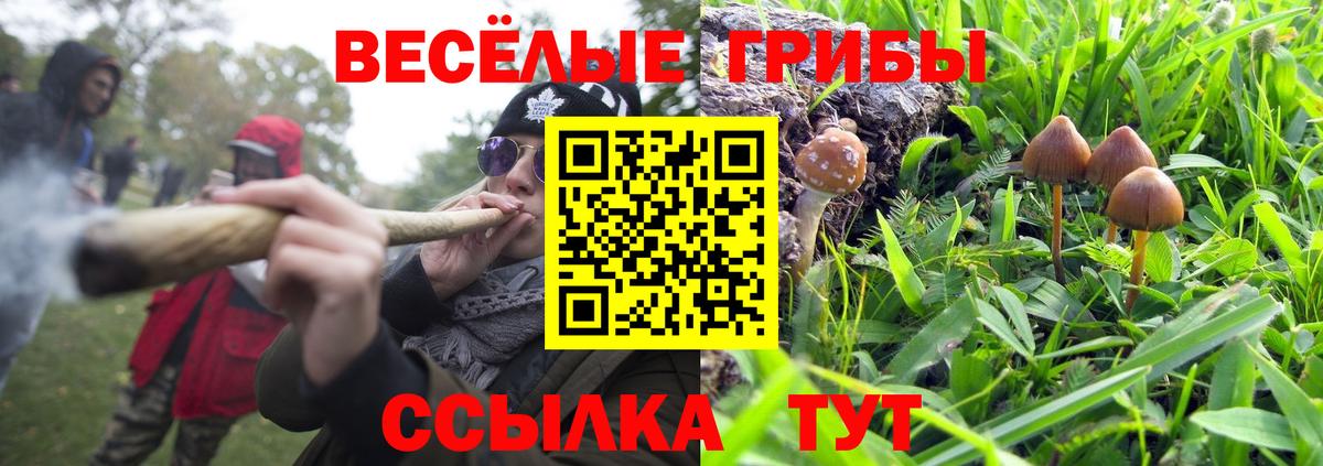 Галлюциногенные грибы ЛСД  Вход с VPN  Изобильный 